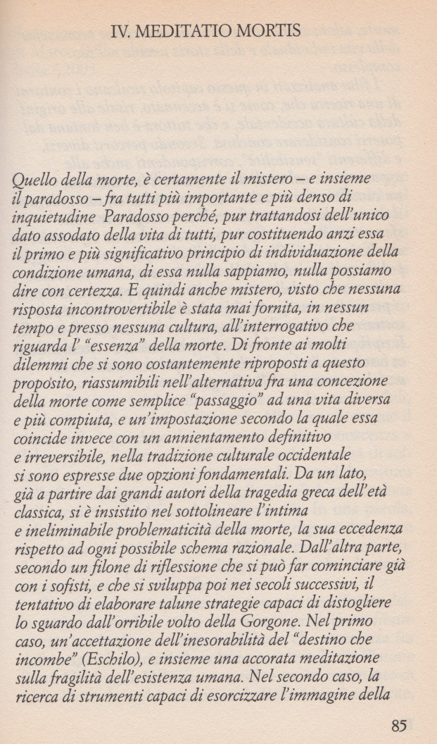 curi1511